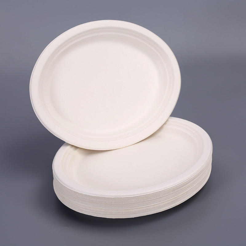 plainwhitepaperplates3